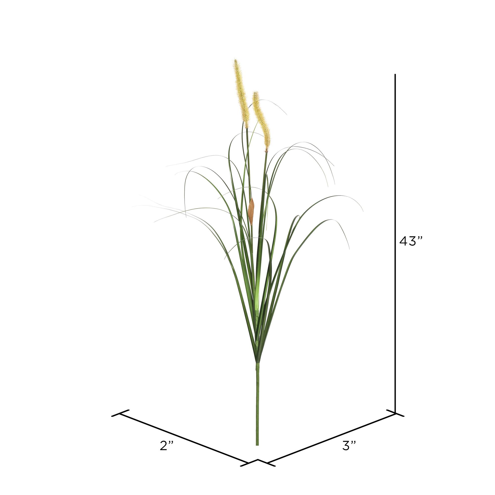 4 Pack: Mixed Green Foxtail Grass Spray